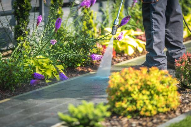 Best Patio and Deck Pressure Washing  in Edwards, MS
