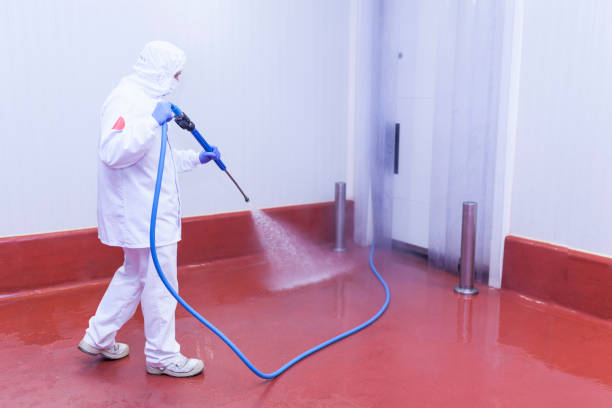 Best Dumpster Area Cleaning  in Edwards, MS